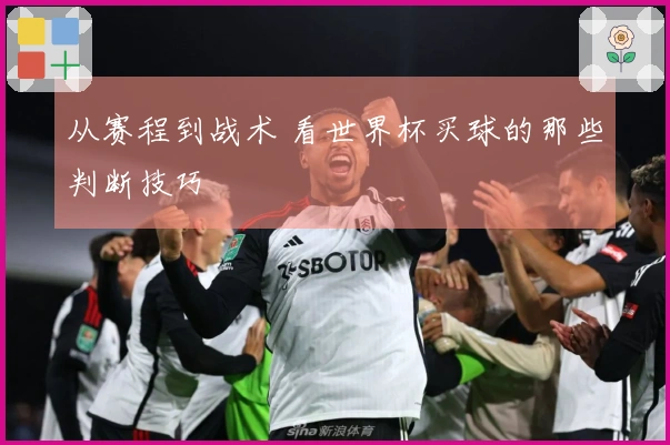 从赛程到战术 看世界杯买球的那些判断技巧