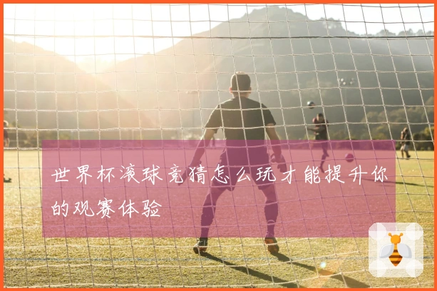 世界杯滚球竞猜怎么玩才能提升你的观赛体验
