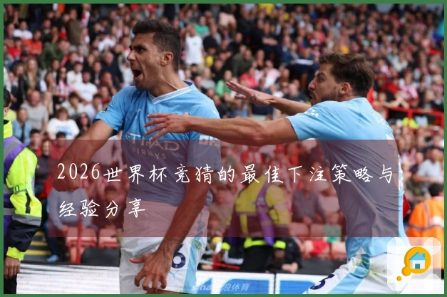 2026世界杯竞猜的最佳下注策略与经验分享