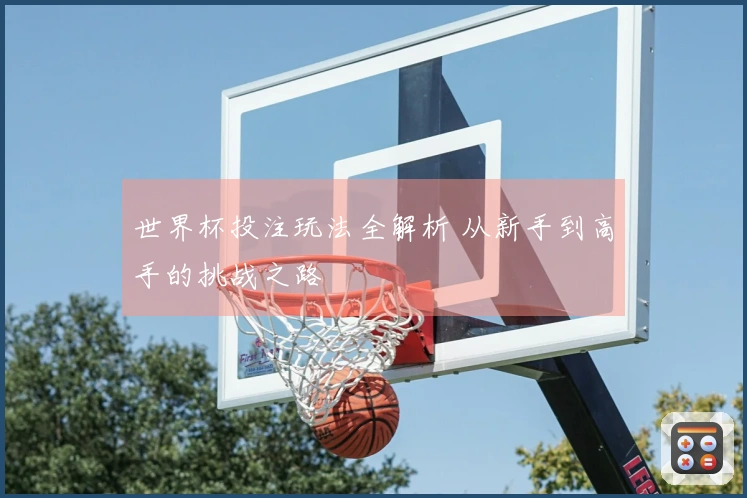 世界杯投注玩法全解析 从新手到高手的挑战之路