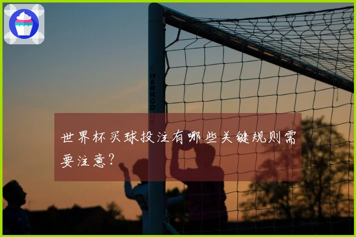世界杯买球投注有哪些关键规则需要注意？