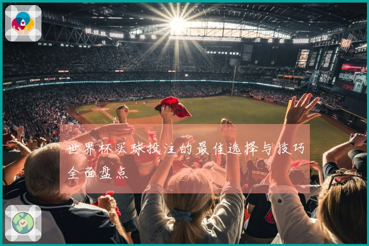 世界杯买球投注的最佳选择与技巧全面盘点