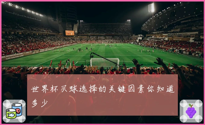 世界杯买球选择的关键因素你知道多少