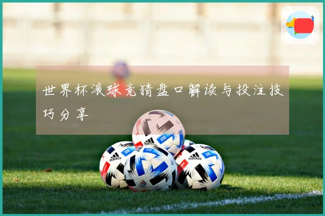 世界杯滚球竞猜盘口解读与投注技巧分享