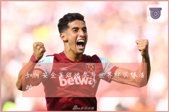 如何安全高效地参与世界杯买球活动